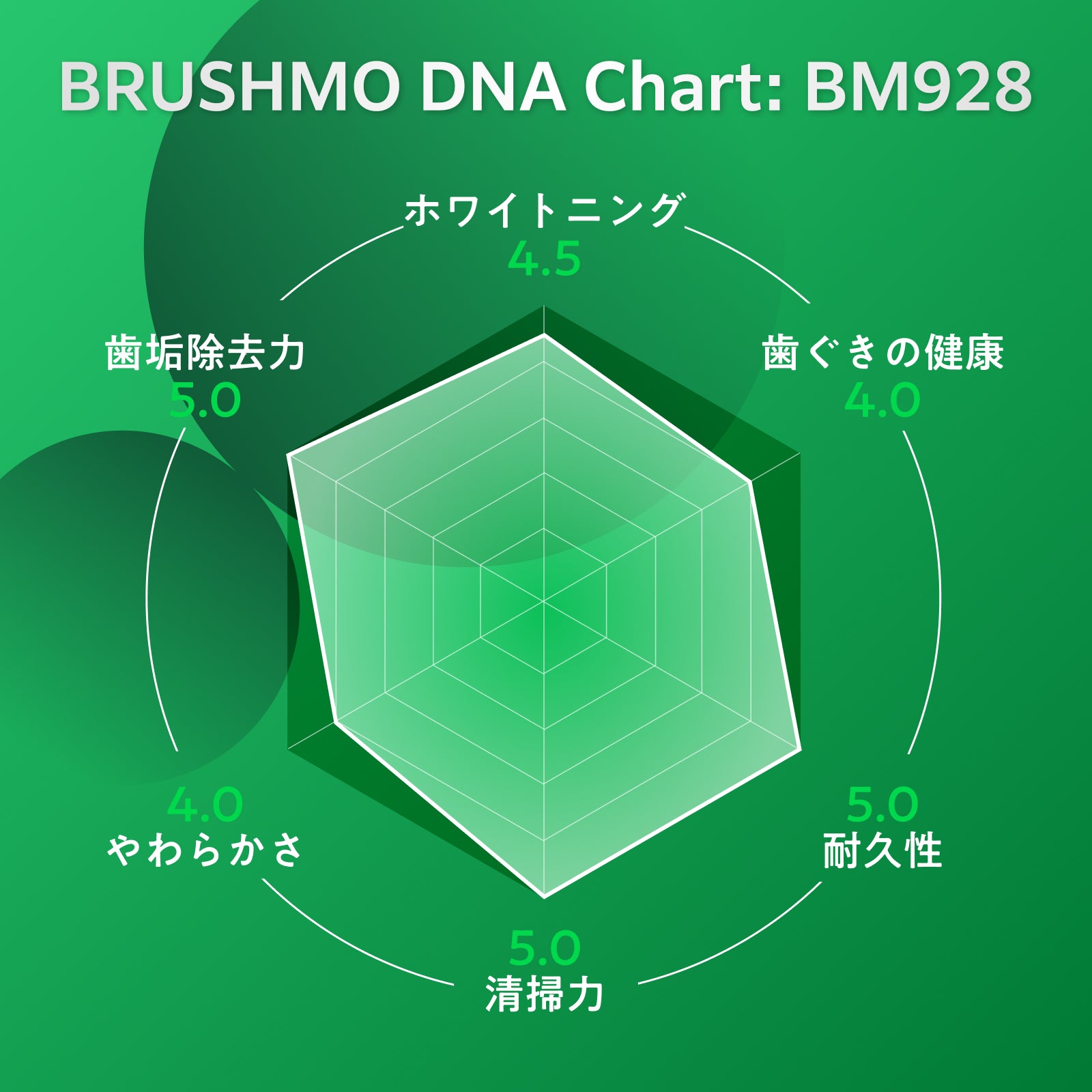 プラークコントロール ブラシヘッド BM928 レギュラーサイズ 8本入り